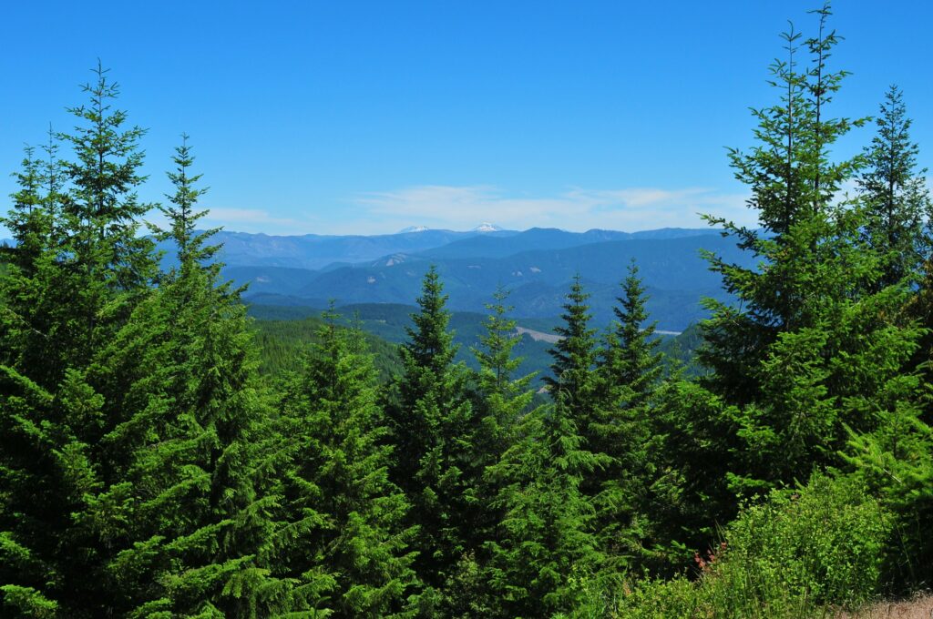 The Three Sisters, from near the top of the climb on day 2