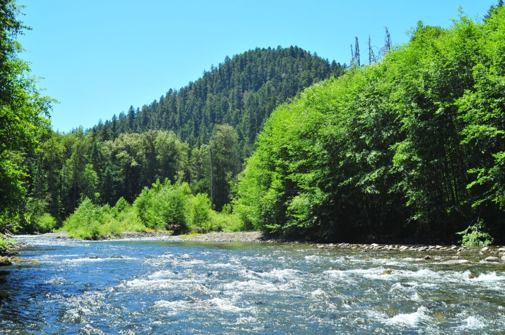 The Middle Fork of the Willamette River, by Sand Prairie campground